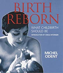 Book cover: Birth Reborn